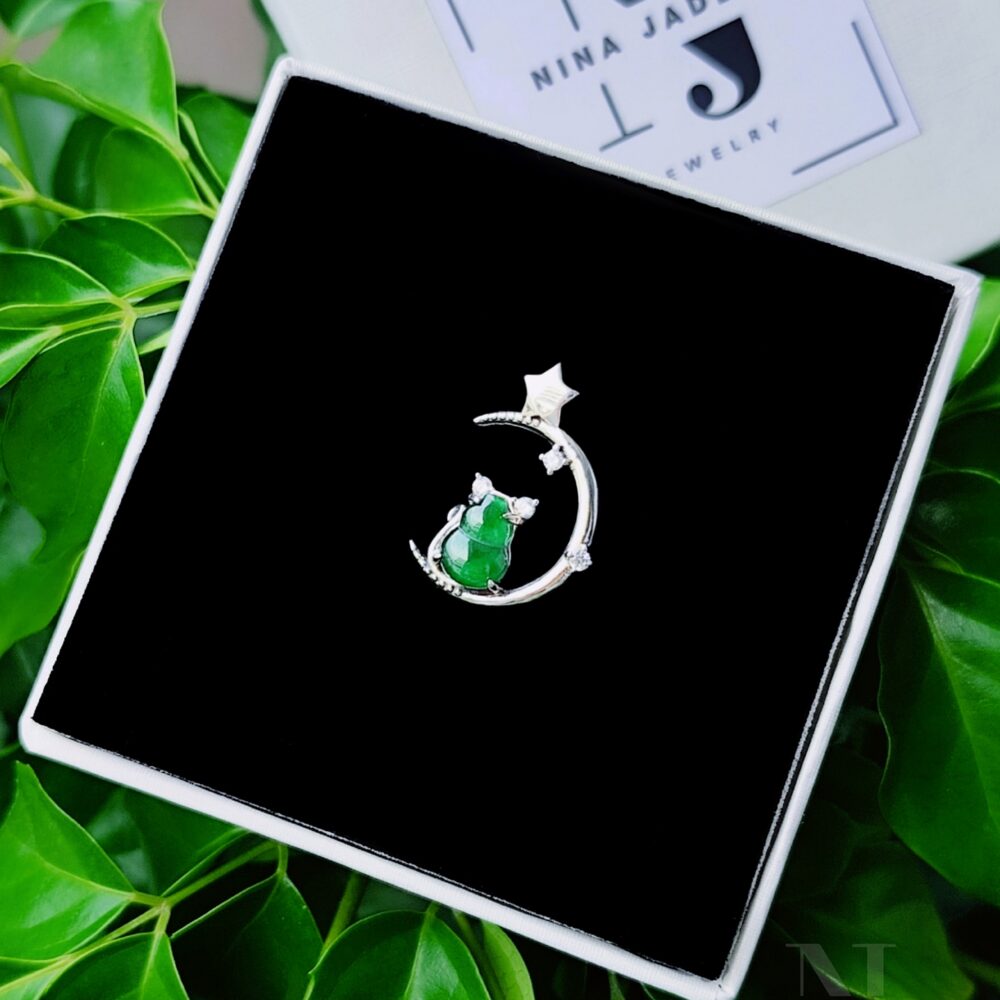 Mèo Bay Lên Mặt Trăng Để Tìm Ngừ Iu