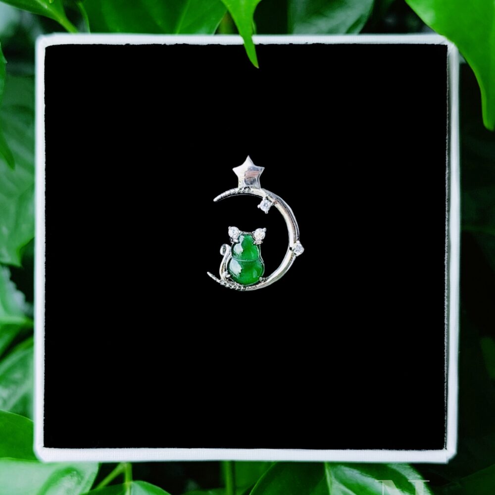 Mèo Bay Lên Mặt Trăng Để Tìm Ngừ Iu