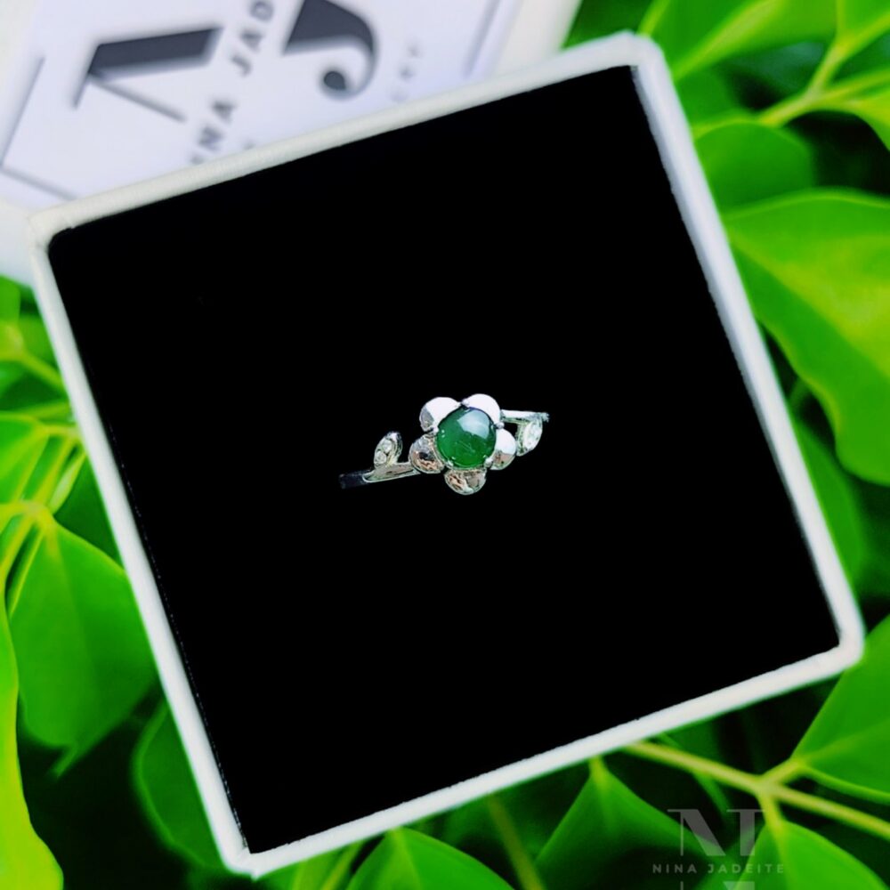 Lão Lục Hoa Mai Duyên Dáng