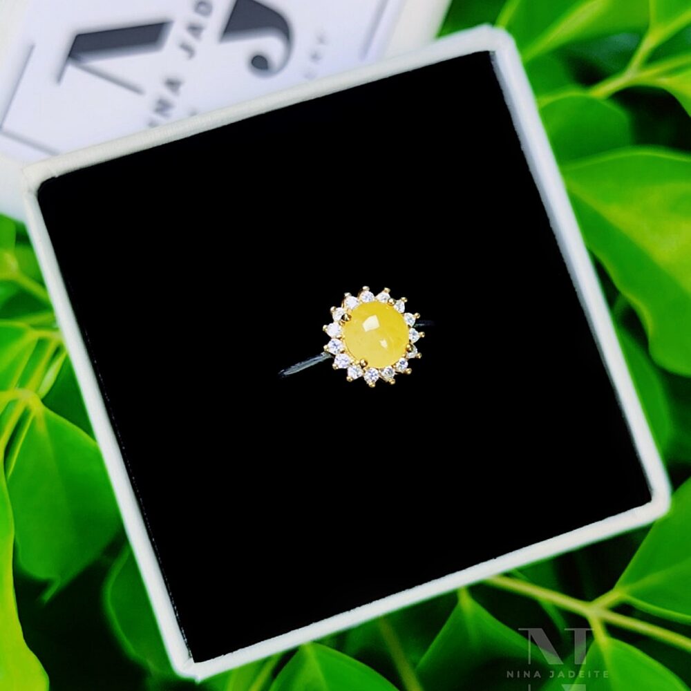 Hoàng Phỉ Thanh Lịch Quý Phái