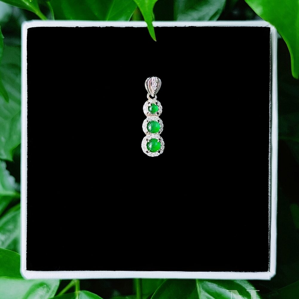 Phúc Đậu Lục Khởi Quang