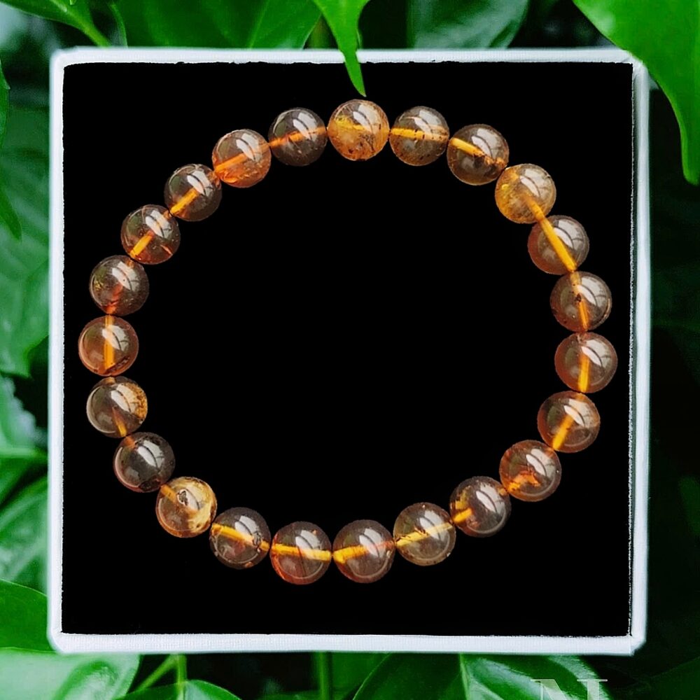 Hổ Phách Dược 8.2Li