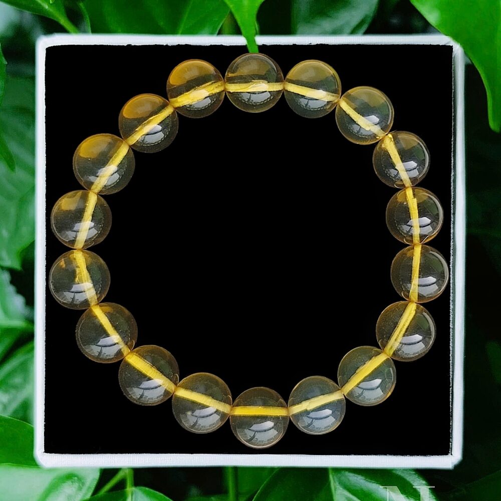 Hổ Phách 10.5 Li